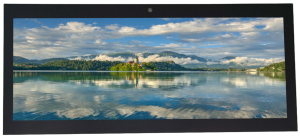 12.3 tfl lcd 12.3inch IPS TFT LCD With CTP And OCA Bonding with AF Treatment 1920*720